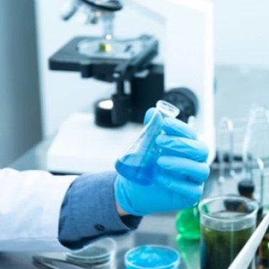 受託試験サービス