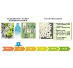 分解型塑膠粒